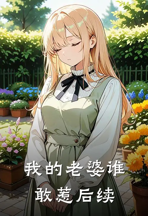 我的老婆谁敢惹后续